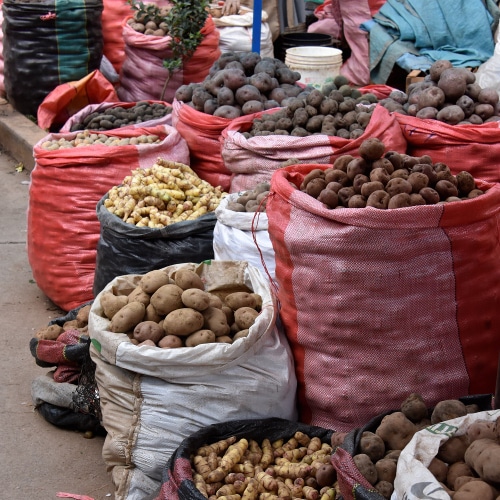 Randonnées et vie paysanne