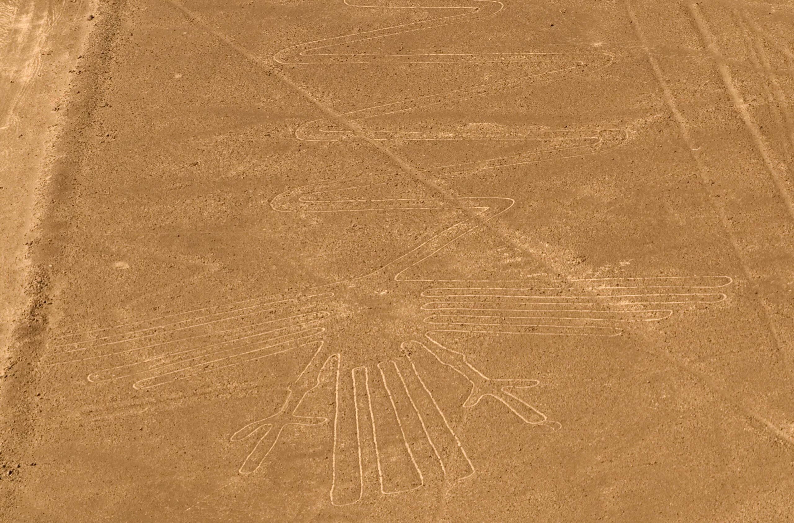Lignes_de_Nazca_oiseau L’hypothèse du calendrier<br />