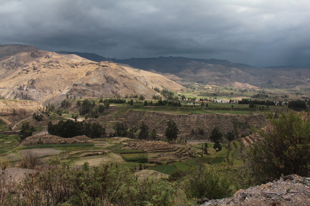 colca-blog Ceviche