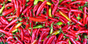 Pérou, sur les terres du Paprika Plus d’infos sur ce petit piment