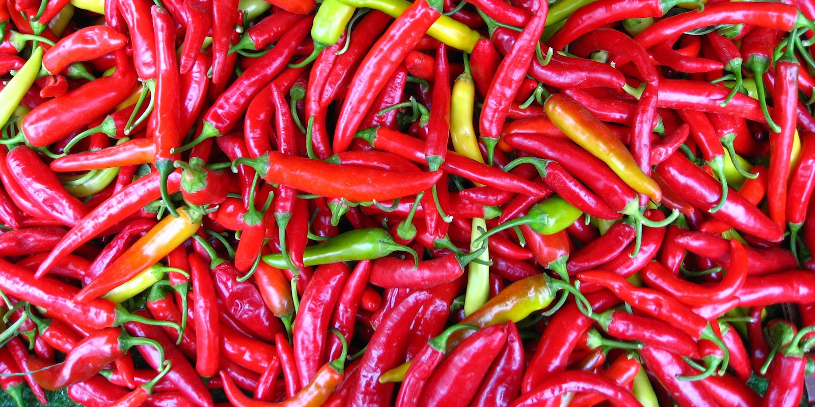 Pérou, terres du Paprika