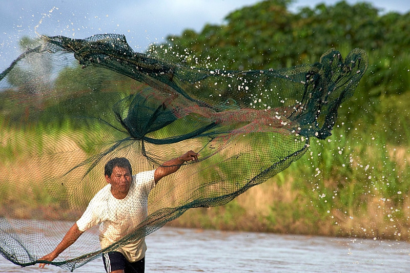 Pêche au filet en Amazonie