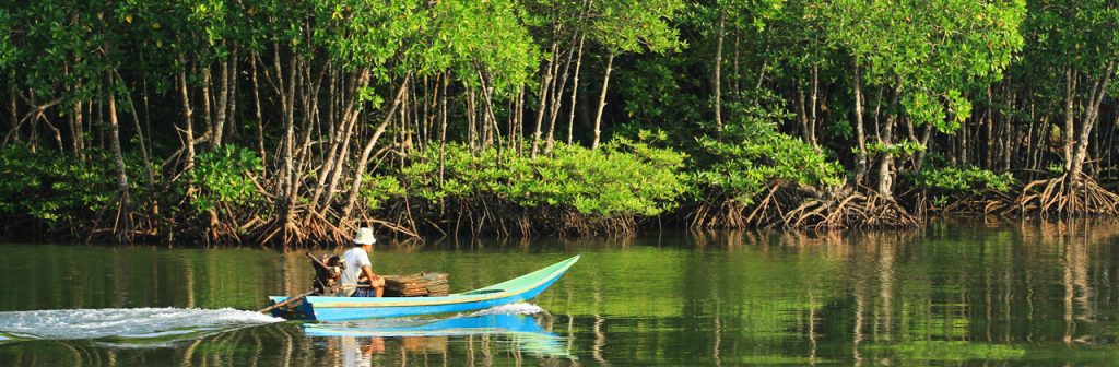 Le sanctuaire national des mangroves de Tumbes